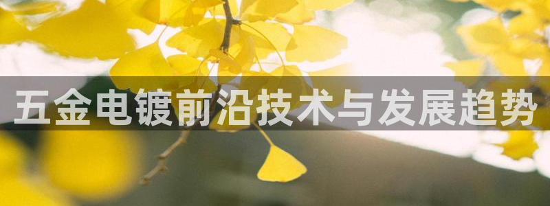 琳琅娱乐机器人