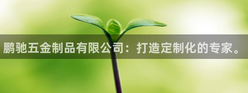 琳琅娱乐网