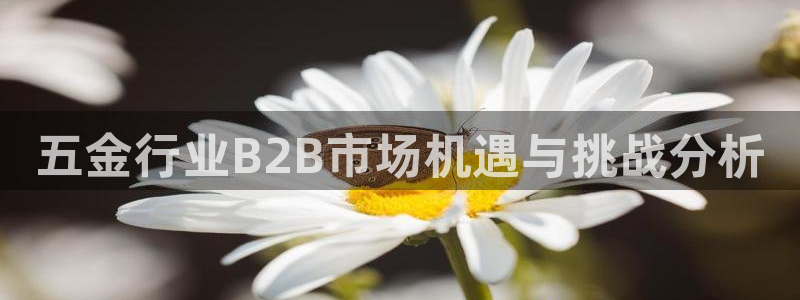 琳琅娱乐 全麦优质