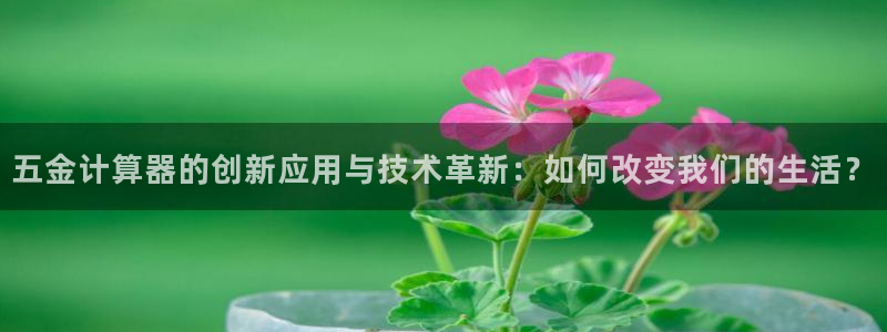 琳琅娱乐组飞车