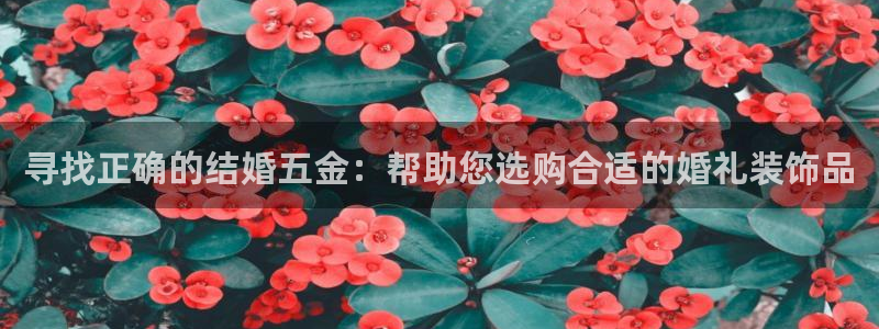 杭州琳琅互动娱乐