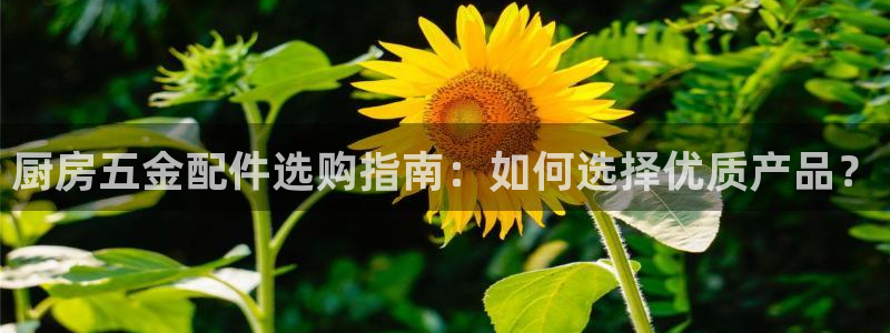 琳琅娱乐平台是真的吗知乎