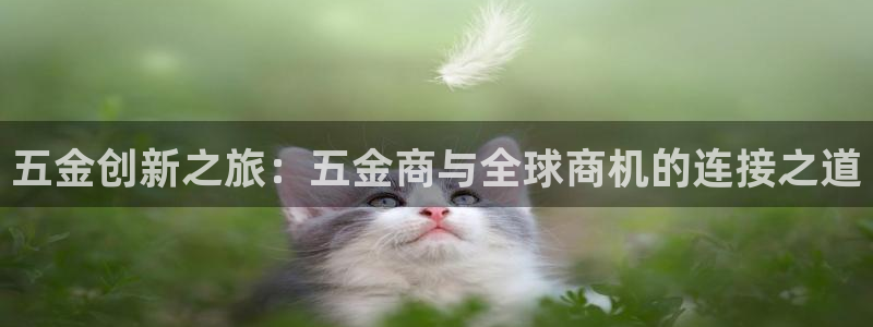 琳琅娱乐机器人