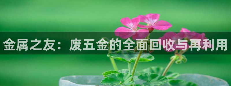 琳琅社区综艺文化娱乐