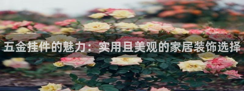 娱乐从琳琅榜开始