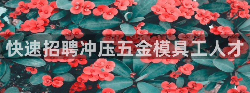 琳琅游戏娱乐