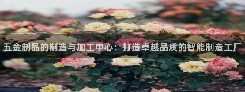 琳琅娱乐是什么