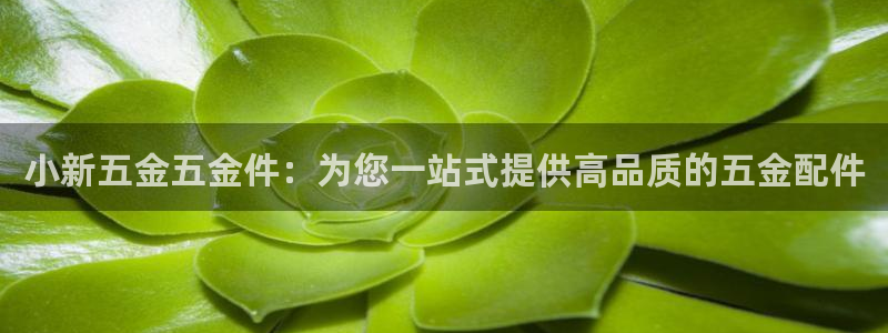 琳琅娱乐a