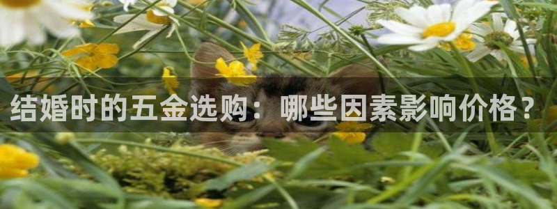 琳琅娱乐代理人是谁