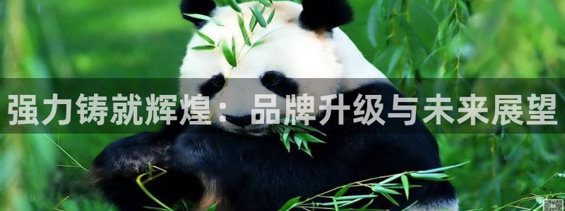娱乐从琳琅榜开始的小说