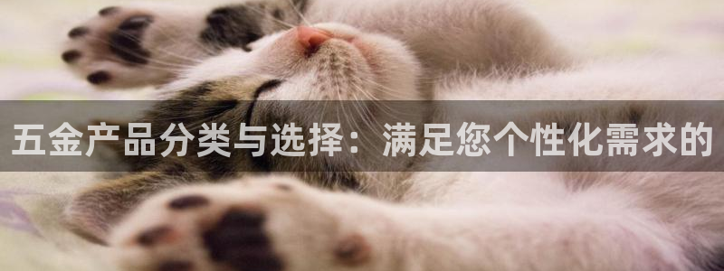 琳琅娱乐APP下载