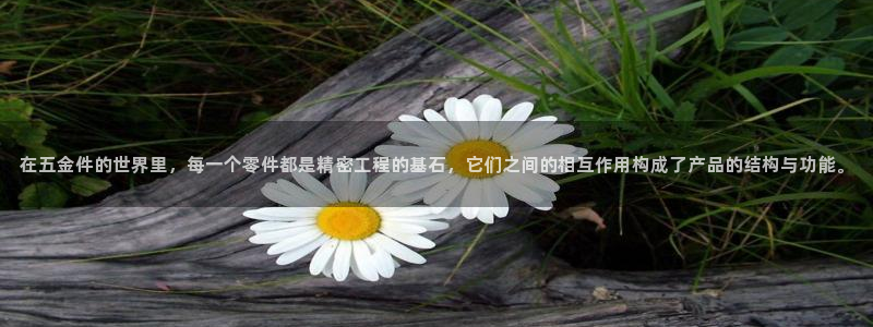 琳琅国际娱乐会所电话