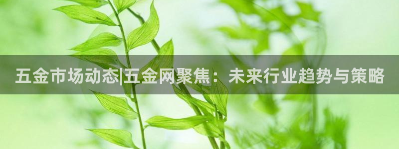 琳琅科技娱乐QQ机器人
