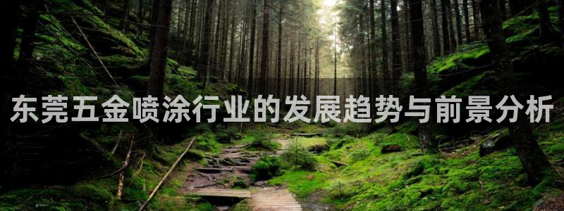 琳琅娱乐代理人是谁