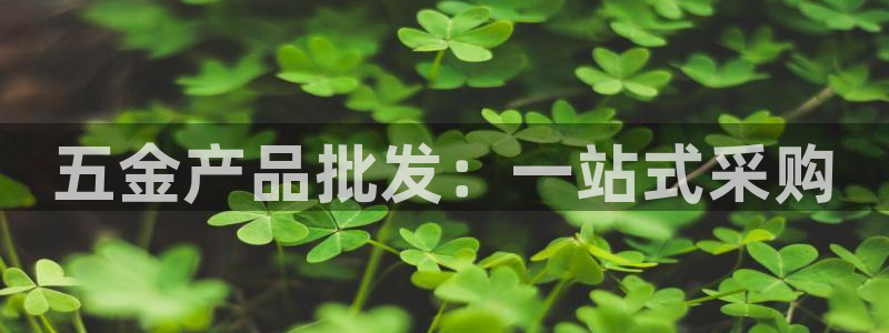 琳琅娱乐领先33300