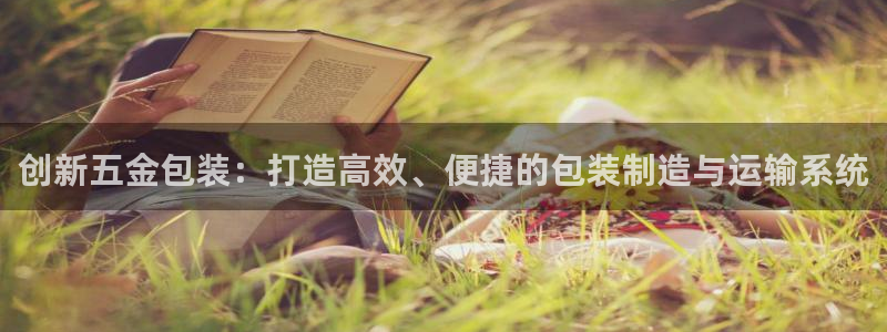 琳琅科技娱乐机器人插件