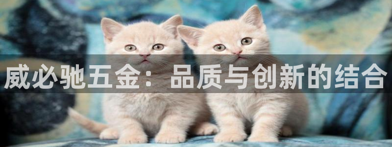 琳琅娱乐代理21192