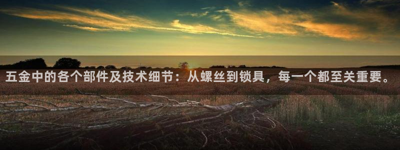 琳琅娱乐招商