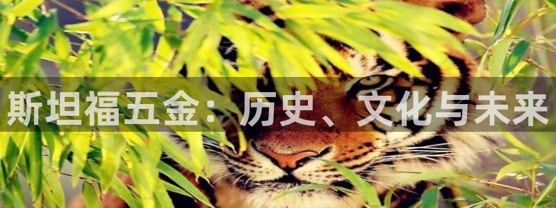 琳琅聊娱乐