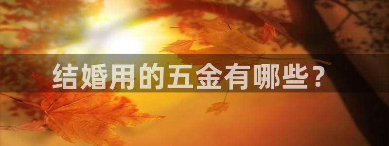 琳琅娱乐工作室地址查询