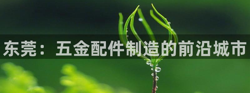 琳琅娱乐 全麦优质