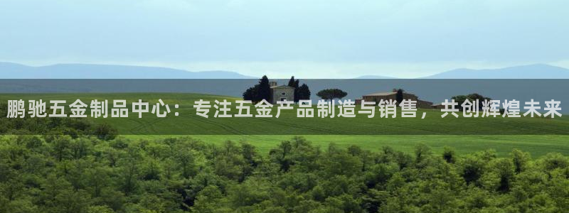 琳琅天上qq飞车娱乐