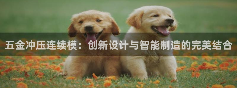 琳琅社区综艺文化娱乐