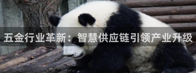 琳琅社区文艺娱乐