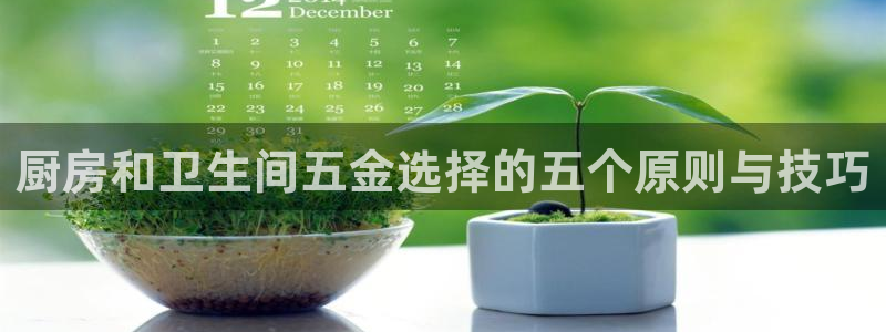 琳琅作者娱乐圈女主