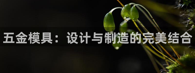 琳琅科技娱乐qq机器人词库