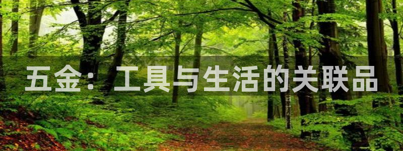 祖龙娱乐官网爱在琳琅