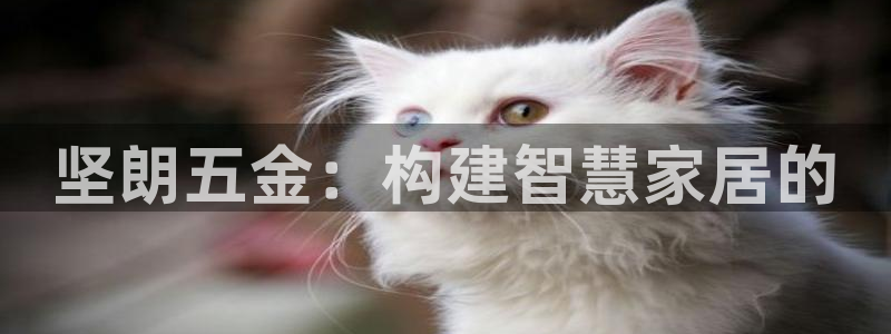 琳琅娱乐在线观看