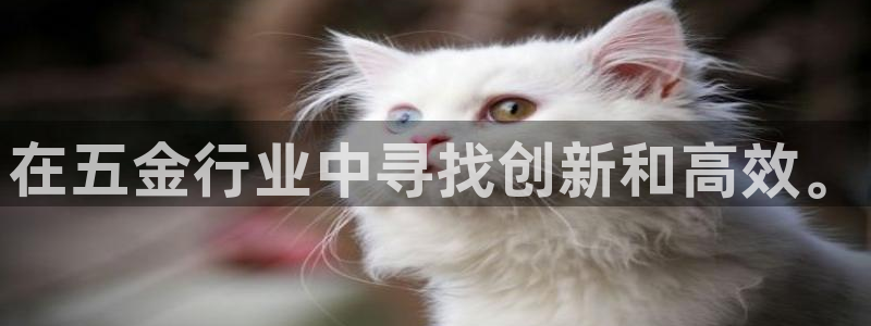 琳琅娱乐免费线上观看