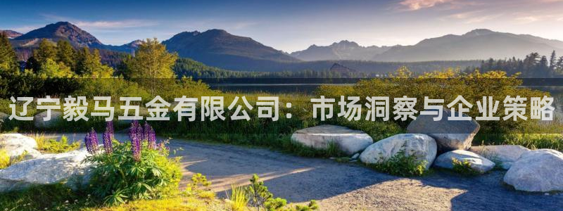 琳琅娱乐代理怎么做