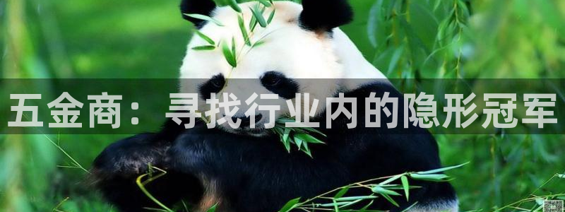 琳琅娱乐平台怎么样啊