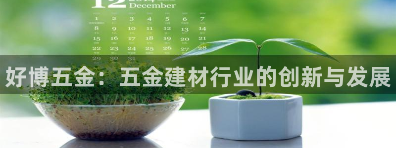 琳琅社区综艺文化娱乐