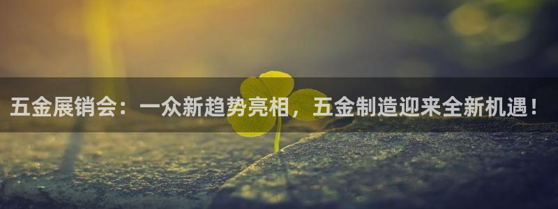 琳琅娱乐组飞车