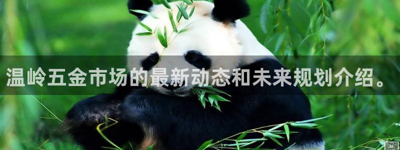 娱乐从琳琅榜开始的小说