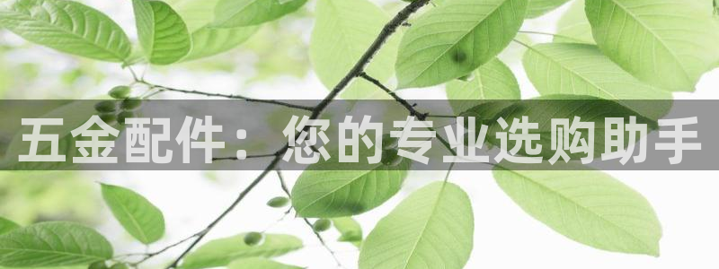 琳琅娱乐工作室