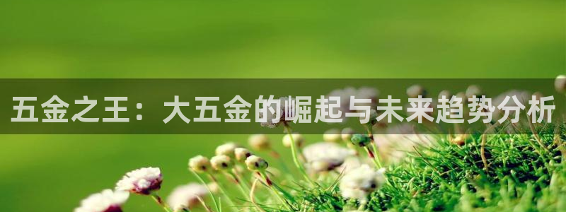 琳琅娱乐代理人是谁