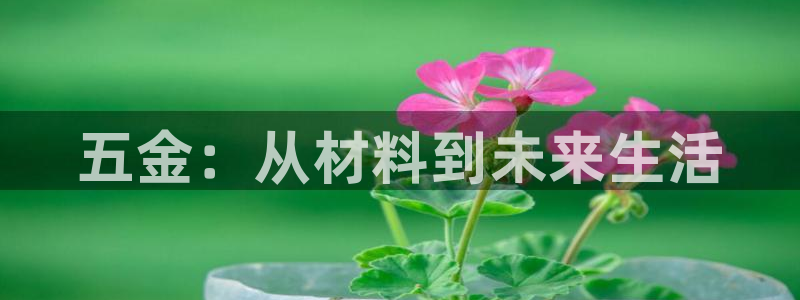 琳琅天上qq飞车娱乐