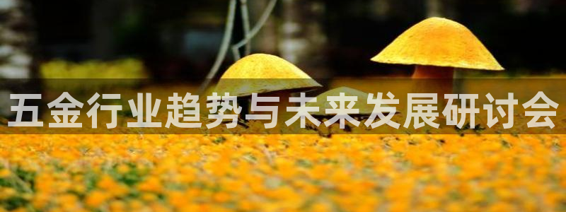 梧州琳琅娱乐城