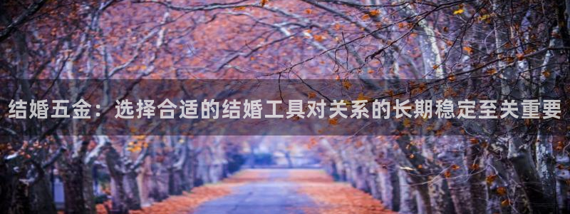 琳琅娱乐工作室