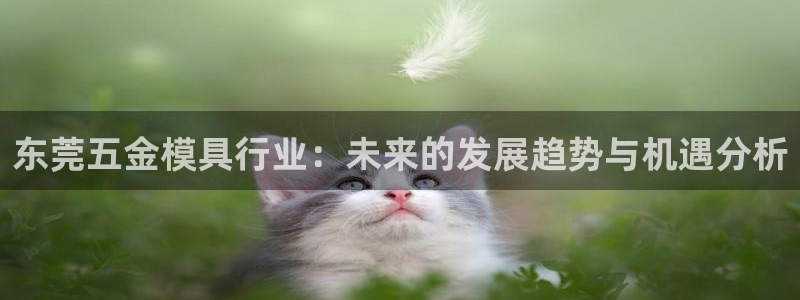 孝感琳琅娱乐会所