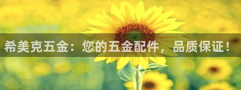 琳琅国际娱乐会所