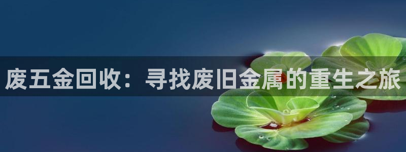 琳琅娱乐 全麦优质