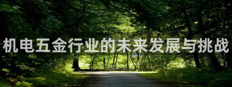 琳琅科技娱乐机器人下载